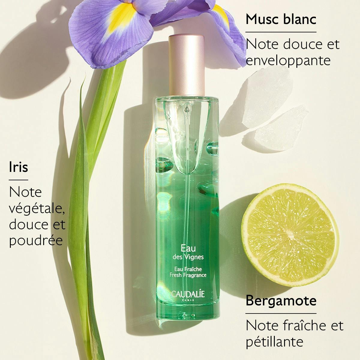 Eau Fraîche Eau des Vignes